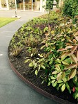 strakke tuin met rondvormige cortenstaal kantopsluiting