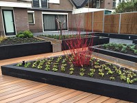 Diagonaal tuinontwerp met cortenstaal watergoot